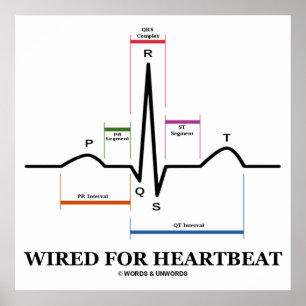 Bundit för Electrocardiogram för hjärtslag Poster