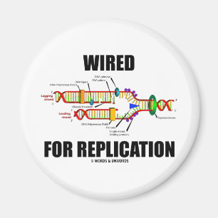 Bundit för replicationen (DNA-replicationen) Magnet