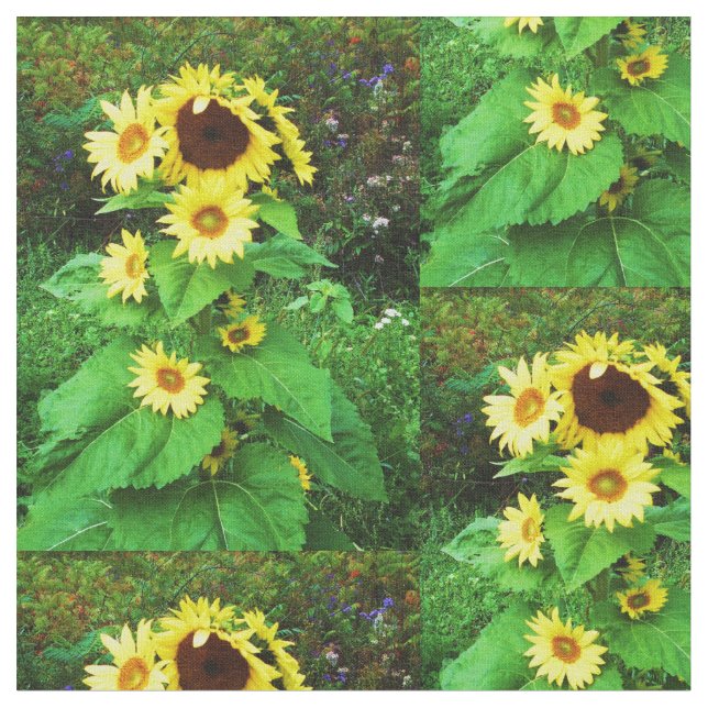 BUNDLE OF SUNFLOWERS TYG (Närbild)