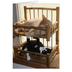 Bunk Bed Brothers Hälsningskort