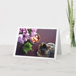 Bunke av ägg. Kort 1