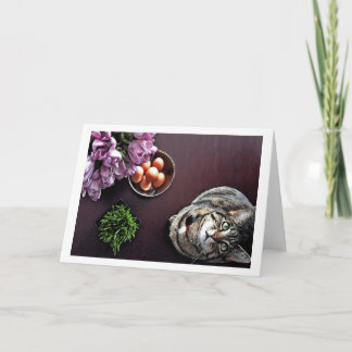 Bunke av ägg. Kort 2