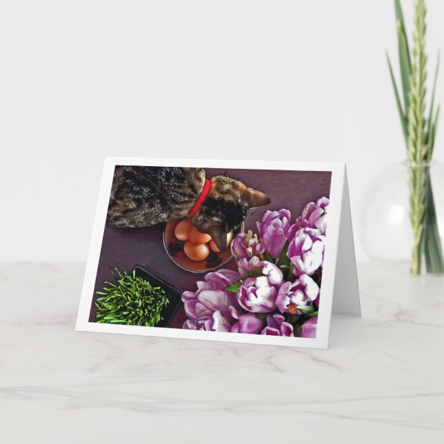 Bunke av ägg. Kort 4 (Framsida)