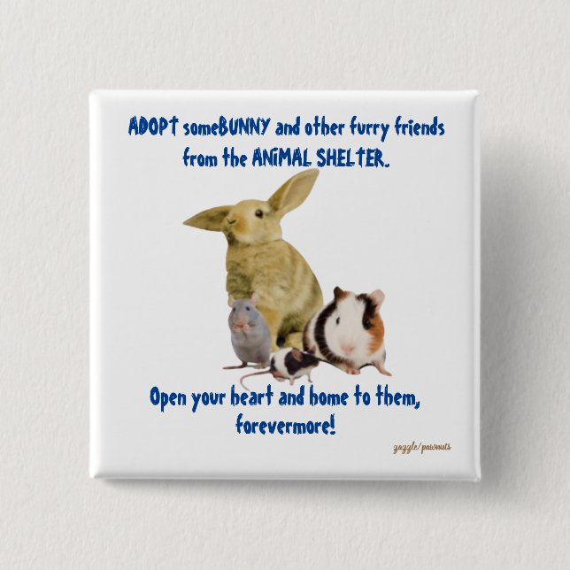 Bunnier och andra vänner i håriget behöver kärleks knapp (Framsida)