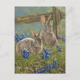 Bunnies & Bluebonnet Vykort