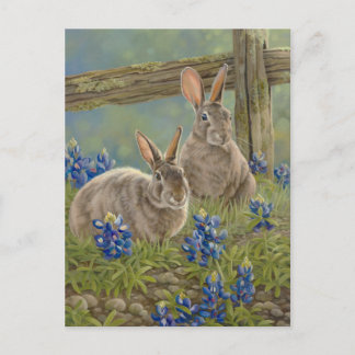 Bunnies & Bluebonnet Vykort