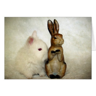 Bunnies Hälsningskort