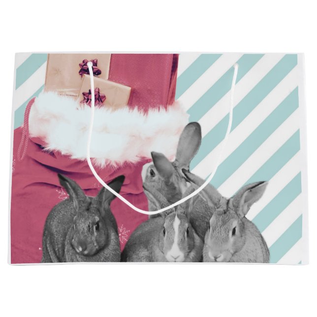 Bunnies Peeking i Santa's Sack (Framsidan)