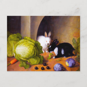 Bunnies Vykort
