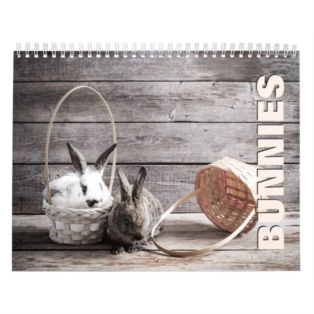 Bunnies Wall Calendar Kalender (Omslag)