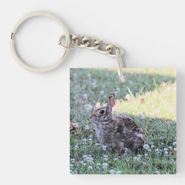 Bunny (Framsidan)
