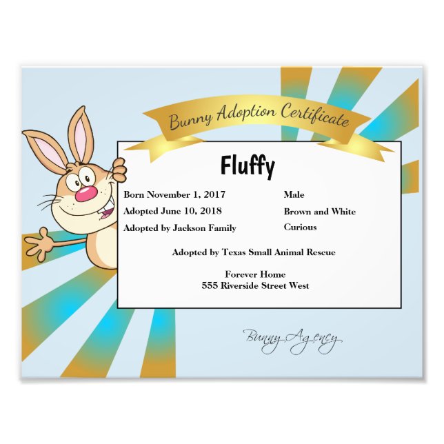 Bunny Adoption Certificate Fototryck (Framsidan)