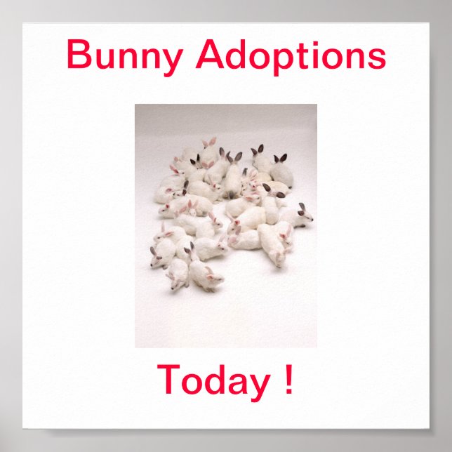 Bunny Adoption Today-tecken Poster (Framsidan)