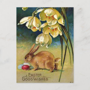 Bunny, Ägg och Snödroppar, vintage 1910 Vykort