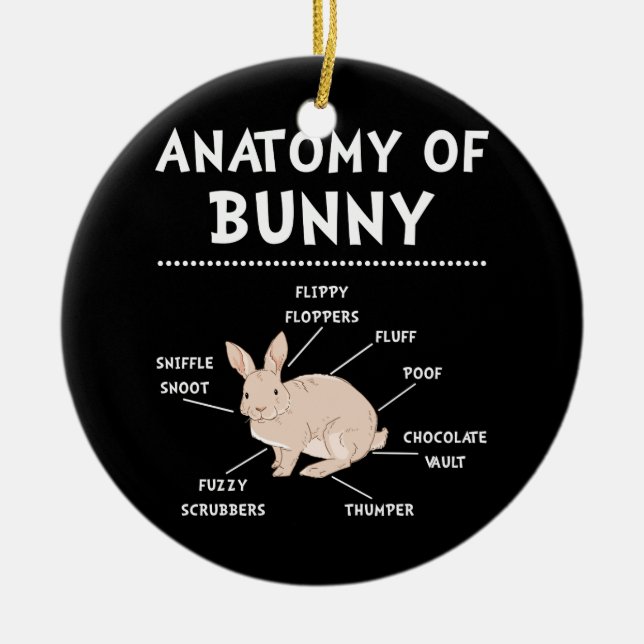 Bunny Anatomy Rabbit Älskare Bunny Mamma Julgransprydnad Keramik (Framsidan)