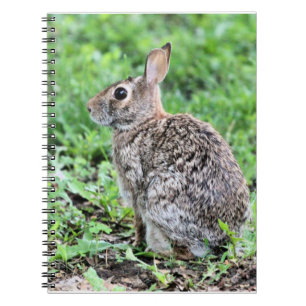 Bunny Anteckningsbok