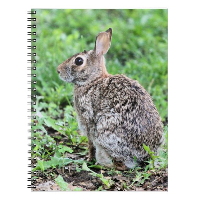 Bunny Anteckningsbok (Framsidan)