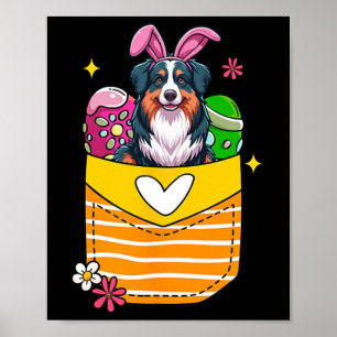 Bunny Australian shepherd Påsk chokladägg i Poster