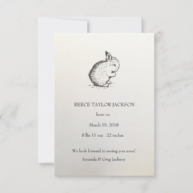 Bunny Birth Notice, Classic, Traditional Meddelande (Framsida)