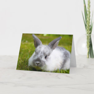 Bunny Birthday-kort Kort