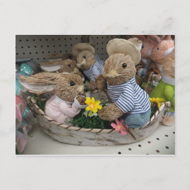 Bunny Boat Vykort (Framsida)