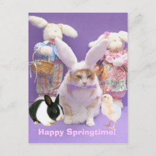 Bunny Bubba 2 Vykort