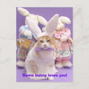 Bunny Bubba 3 Vykort