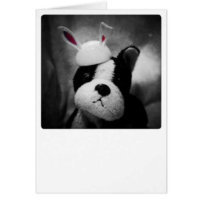 Bunny Card Hälsningskort (Framsidan)