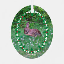 Bunny & Cardinal eller Ditt foto med Holly Gräns