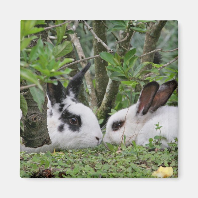 Bunny Couple Magnet (Framsidan)