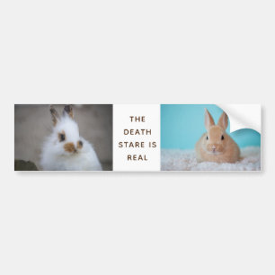 BUNNY Dödsstenen är verklig! Lägg till eget foto Bildekal