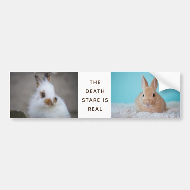 BUNNY Dödsstenen är verklig! Lägg till eget foto Bildekal (Framsidan)