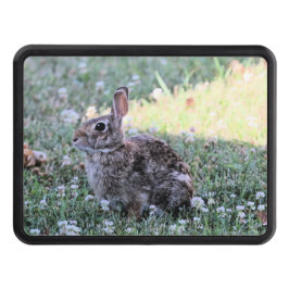 Bunny Dragkroksskydd