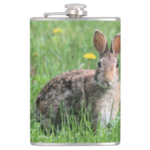 Bunny Fickplunta