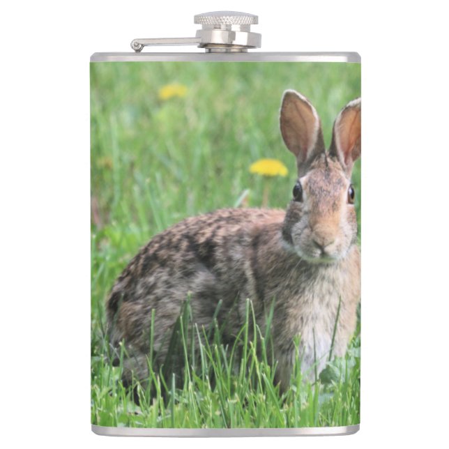 Bunny Fickplunta (Framsidan)