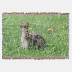 Bunny Filt