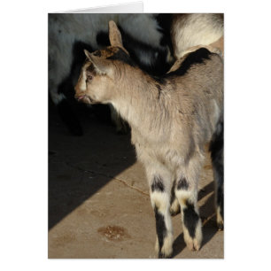 Bunny, Goat Blank Inside Greeting Card Hälsningskort