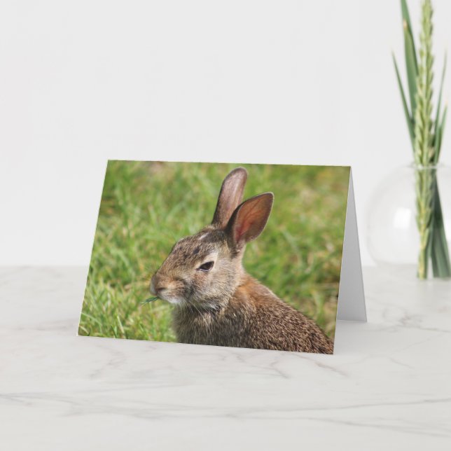 Bunny Greeting Card Kort (Framsida)
