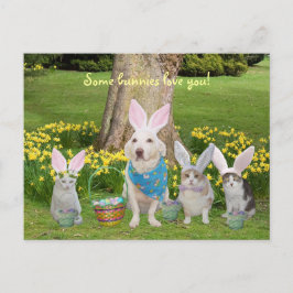Bunny Hund med Bunny Cats Helg Vykort