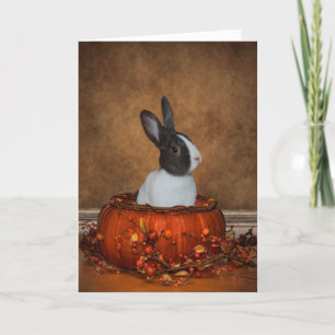 Bunny i en Pumpkin Kort