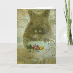 Bunny i Tekopp Kort