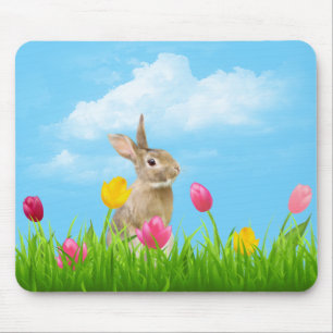 Bunny i Tulips Musmatta