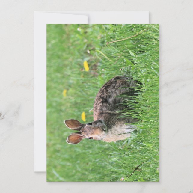 Bunny Inbjudningar (Framsida)