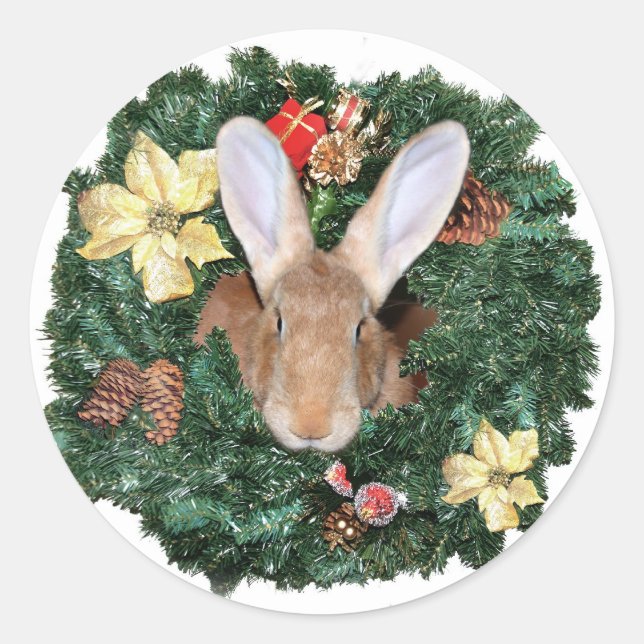 Bunny jul runt klistermärke (Framsida)