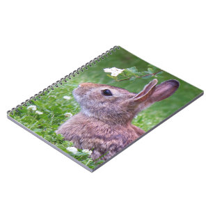 Bunny kanin i Grass Vår Djurfoto Anteckningsbok