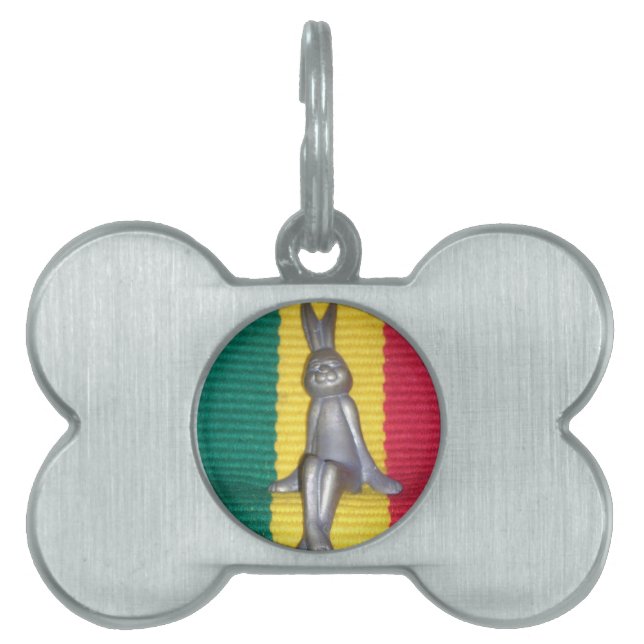 Bunny - Kanin i Rasta Färg: A Touch of Groovy Namnbricka Husdjur (Framsidan)