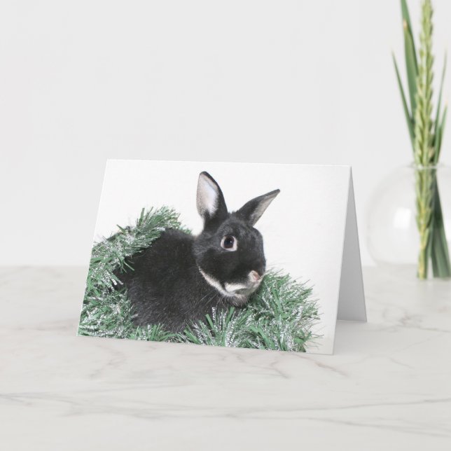 Bunny kanin-jul helgkort (Framsida)