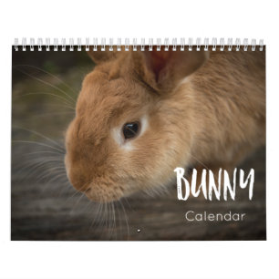 Bunny (kaniner) 2023-kalender kalender