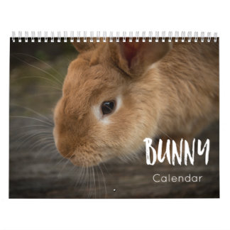 Bunny (kaniner) 2023-kalender kalender