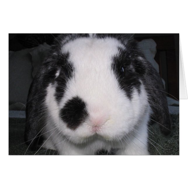 Bunny Kärlek Hälsningskort (Framsidan Horizontal)